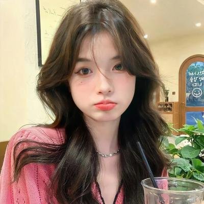 钢之炼金术师：香巴拉的征服者