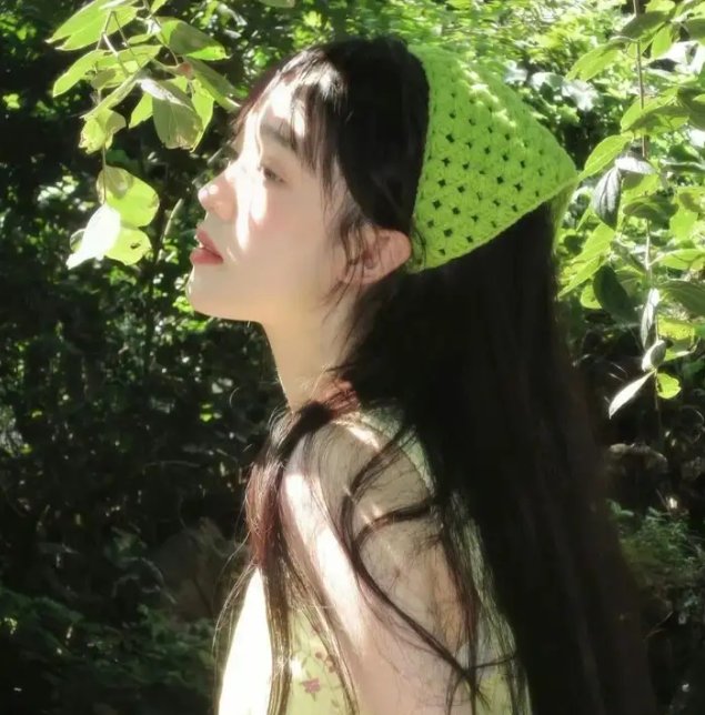 没有鳞片的文森特